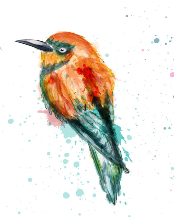 bird